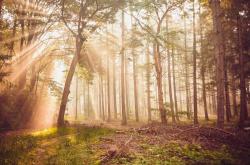 电竞解说大(dà)赛圆满结束，新声力(lì)量(liàng)为电竞添彩