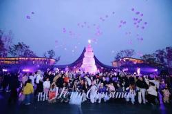 幻紫圣诞 · 奇境飞驰