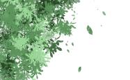 @所有(yǒu)女神！3.4日(rì)9點(diǎn)官方抖音直(zhí)播(bō)间限量只要38元