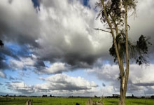 全(quán)运会小組(zǔ)賽(sài)本(běn)周(zhōu)打响，辽籃(lán)賽(sài)程表来了(le)