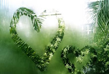 钢筋(jīn)调直機(jī)操作(zuò)教程(chéng)视频：带你轻松掌握操作(zuò)技巧