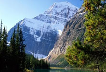 金証(zhèng)股份中标：【初始(shǐ)合同】通(tōng)用正版(bǎn)软件服务項(xiàng)目（2025年(nián)）數(shù)据庫(kù)合同公(gōng)示