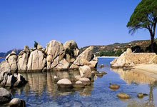 锁定斗鱼看(kàn) 2025 电竞世界(jiè)杯：豪华解(jiě)说+互动福利 开启盛夏观赛狂(kuáng)歡(huān)