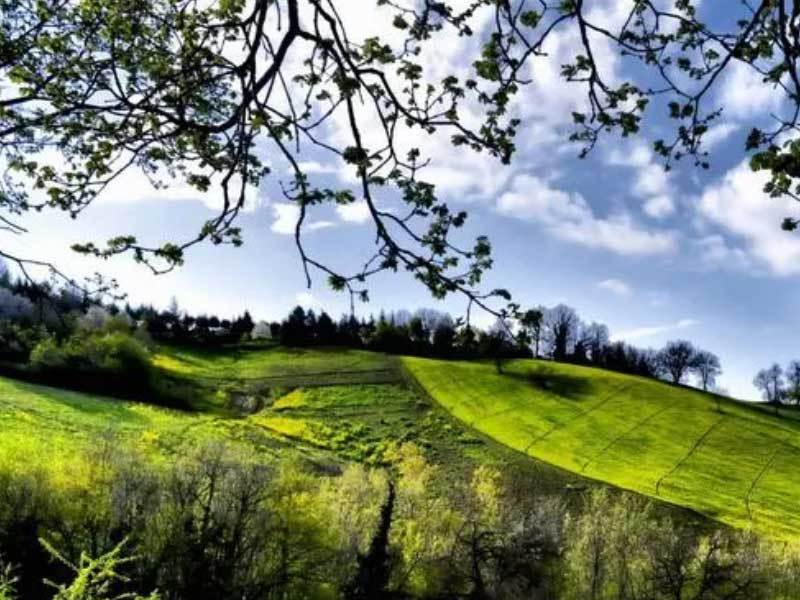 电竞选手在国际赛事中斩获佳绩