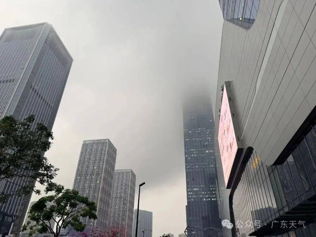 本周末,深圳天气将反转!