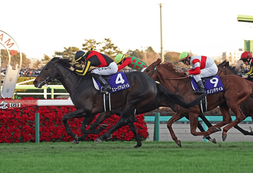 【盘点】中国赛驹赢下几场？2025全球国际赛马节暨重磅一级赛视频集锦