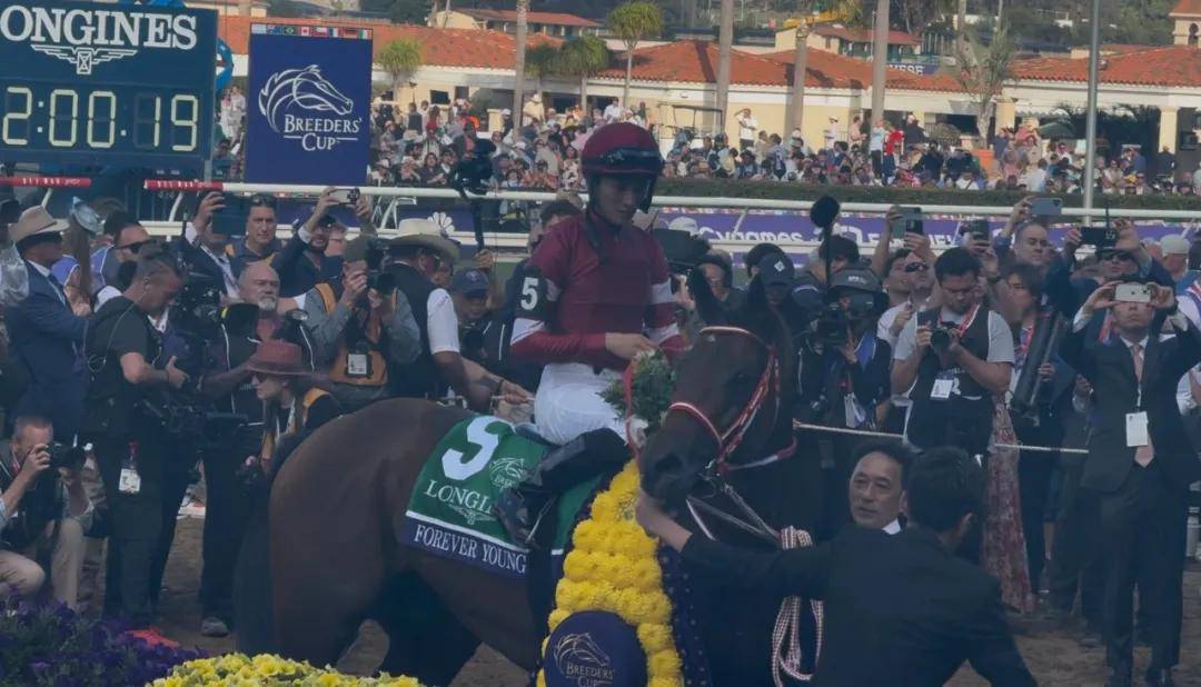 【盘点】中国赛驹赢下几场？2025全球国际赛马节暨重磅一级赛视频集锦