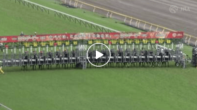 【盘点】中国赛驹赢下几场？2025全球国际赛马节暨重磅一级赛视频集锦