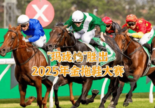 【盘点】中国赛驹赢下几场？2025全球国际赛马节暨重磅一级赛视频集锦