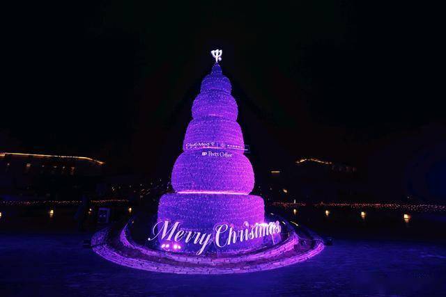 幻紫圣诞 · 奇境飞驰